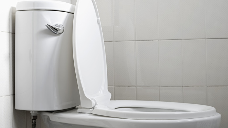 a toilet seat