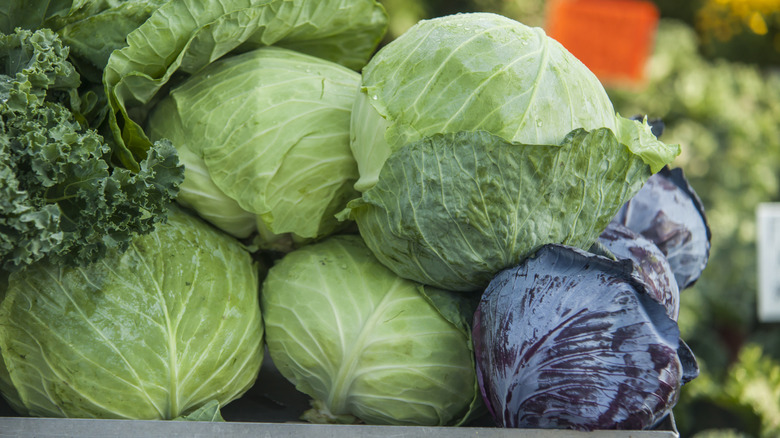 heads of cabbage stacked up in a market