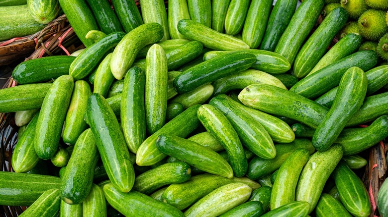 a basket of cucumbers