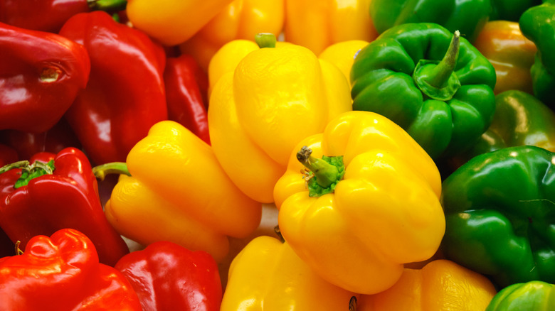 colorful bell peppers