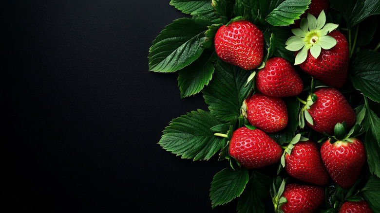 ripe strawberries on black background