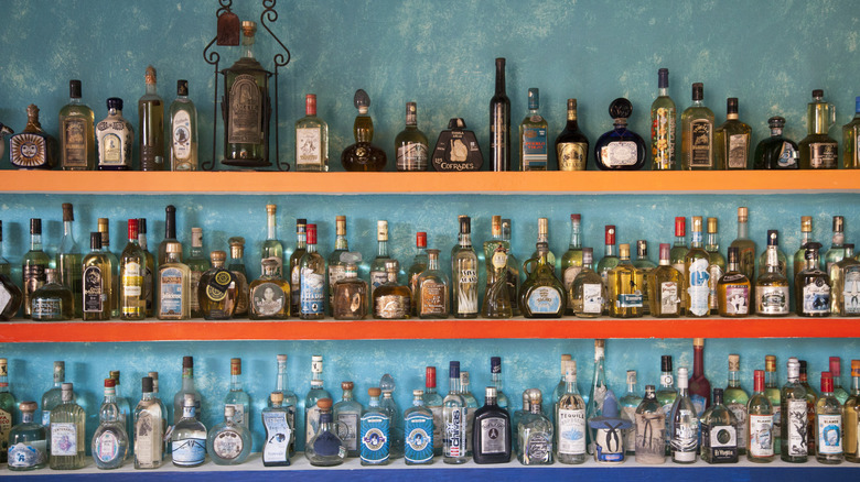 a wall of tequila bottles