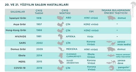 Kol Düğmesi Tarihçesi: Geçmişten Günümüze Şıklık