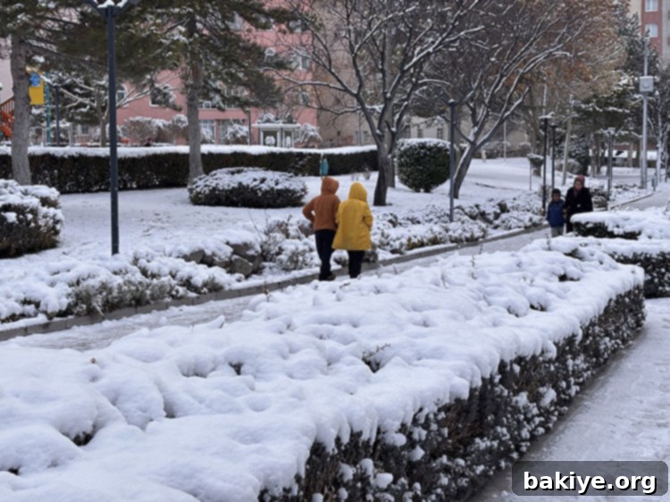 Ülkenin bazı kesimlerinde kar bastırdı 2 Niğde kent merkezinde karla kaplı cadde ve sokaklar