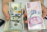 Menkul Satışlarda TL Ödeme Şartı Esnedi