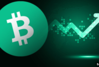 Bitcoin Cash Yarılanma Heyecanıyla Yüzde 13 Prim Yaptı
