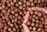Türk Fındığı Ekonomiye 1.8 Milyar Dolar Kattı