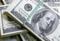 Merkez Bankası Rezervleri 142,2 Milyar Dolar Seviyesinde