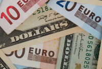 Yerlilerin döviz mevduatı 884,4 milyon dolar eridi