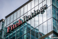 Fitch Sektör Görünümlerini Kararttı