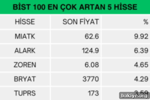 Borsa İstanbul BIST 100 Endeksinde Günün En Çok Yükselen Hisseleri