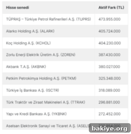 Para girişi olan hisseler listesi