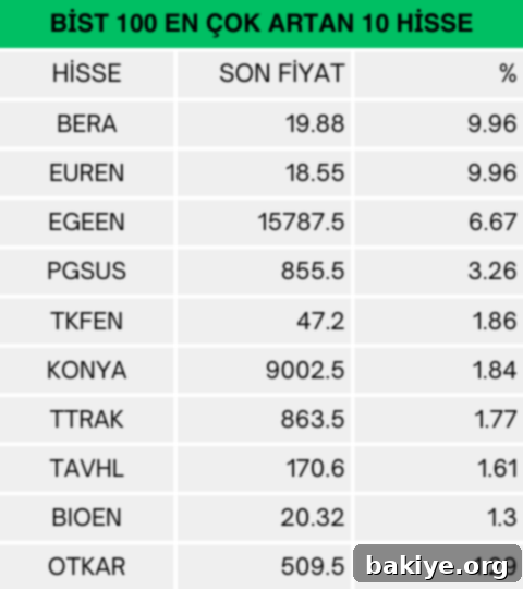 Borsa İstanbul BIST 100 Günün En Çok Artan Hisseleri Listesi
