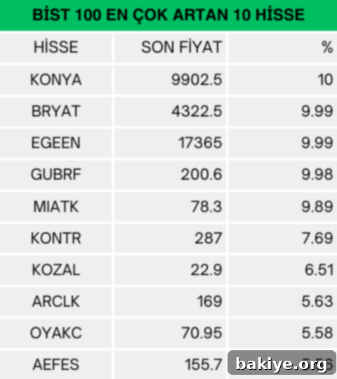 BIST 100 En Çok Yükselen Hisseler