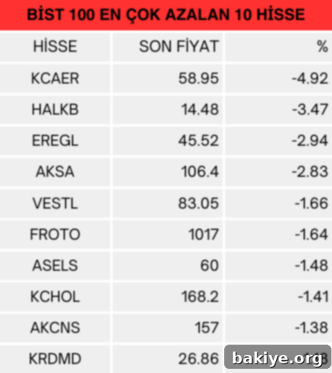 BIST 100 En Çok Düşen Hisseler