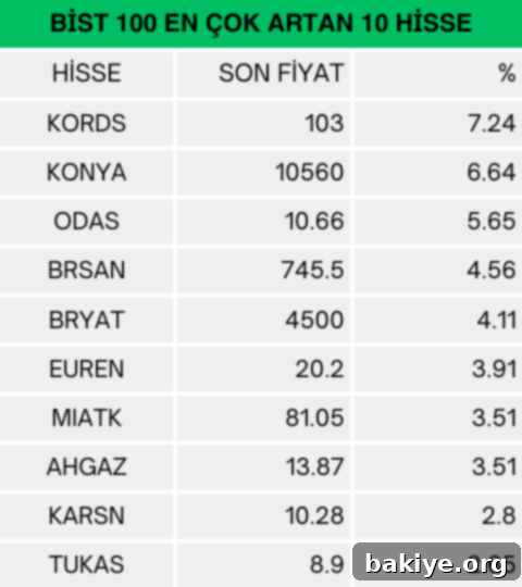 BIST 100 Günün En Çok Yükselen Hisseleri
