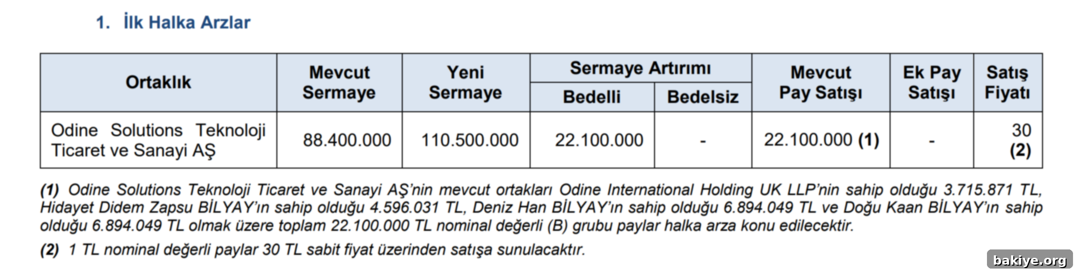SPK'dan Yeni Halka Arza Yeşil Işık 2 Odine Solutions Teknoloji Halka Arz Duyurusu
