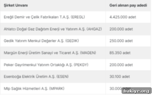 Şirketlerin Geri Alım Hamleleri 2 Borsa İstanbul'da Pay Geri Alımı Yapan Şirketler Listesi