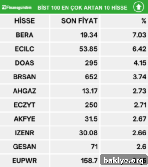 Borsa İstanbul BİST 100 endeksinde günün en çok yükselen hisseleri listesi