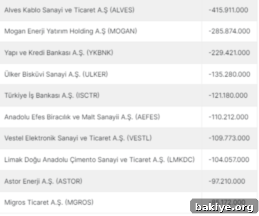 Hisselerden Çekilen Para 2 Para Çıkışı Olan Hisseler Listesi
