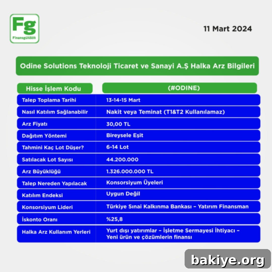 Odine Solutions Halka Arzı: Son Fırsat! 2 Odine Solutions Teknoloji Halka Arzı