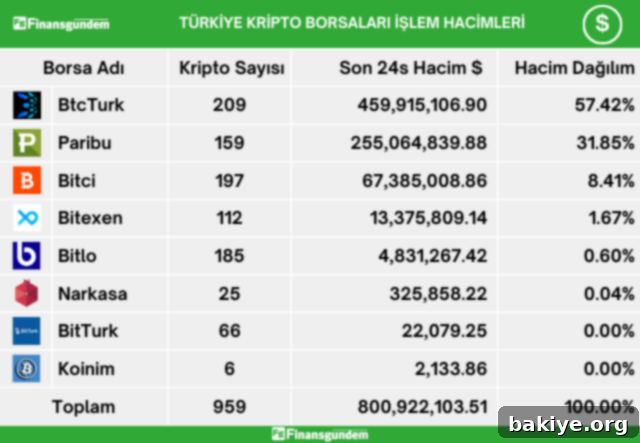 Türk Kripto Borsalarında Dev Para Akışı 3 Türkiye Kripto Para USD İşlem Hacmi