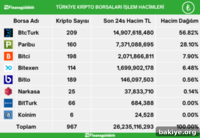 Türkiye Kripto Para Borsaları Günlük TL İşlem Hacmi Dağılımı