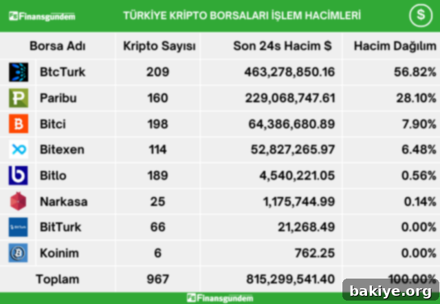 Türkiye Kripto Para Borsaları Günlük USD İşlem Hacmi Dağılımı