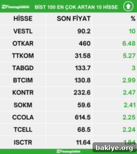 Borsa İstanbul En Çok Artan Hisseler