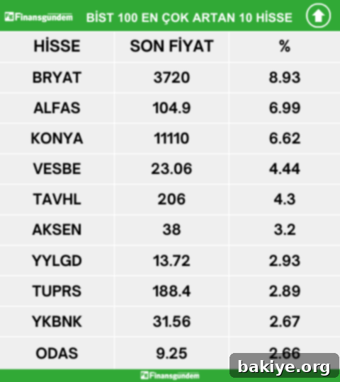 Borsa İstanbul BIST 100 En Çok Artan Hisseler Listesi