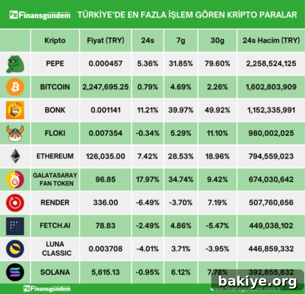 Türkiye'deki kripto para piyasasının son 24 saatlik fiyat ve hacim verileri tablosu - Bölüm 1