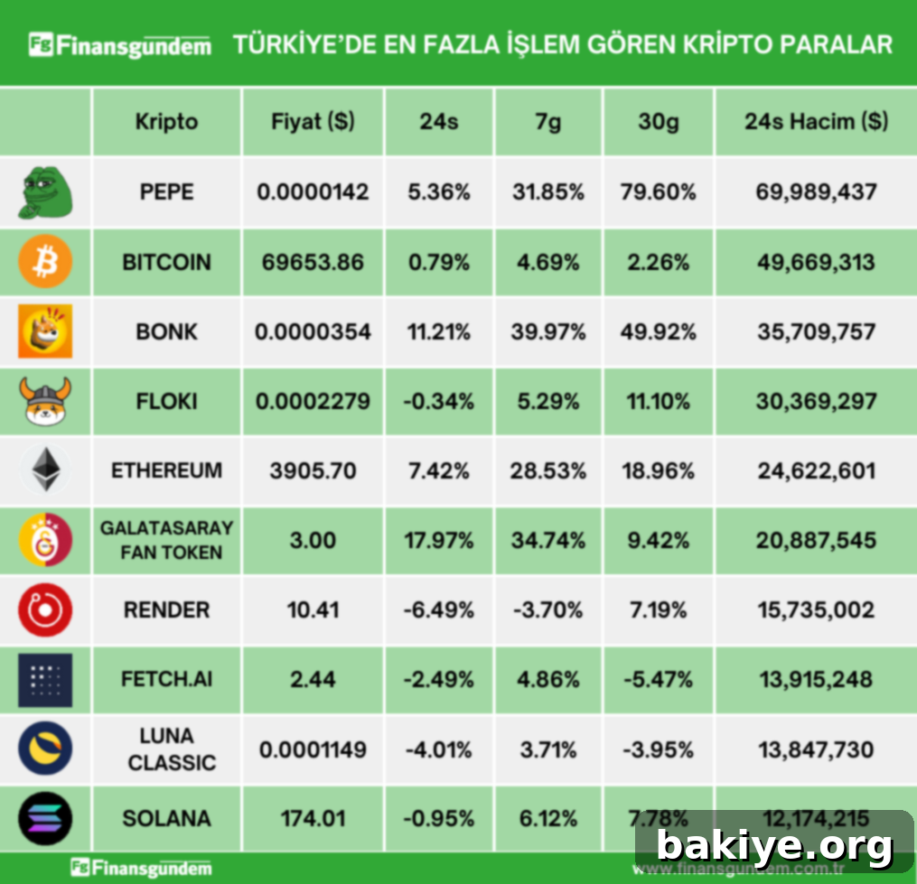 Türkiye'deki kripto para piyasasının son 24 saatlik fiyat ve hacim verileri tablosu - Bölüm 2