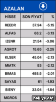 BIST100 Hisse Raporu: Yükselenler, Düşenler ve En Hacimliler (12 Haziran 2024) 3 Borsa İstanbul BIST 100 en çok azalan hisseler listesi örneği