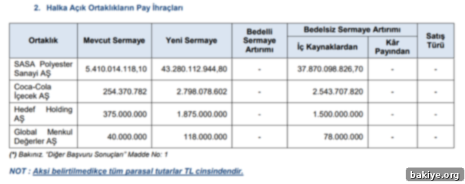 SPK'dan 4 şirkete bedelsiz sermaye artırımı onayı 2 SPK Bedelsiz Sermaye Artırımı Onayları ve Şirketler