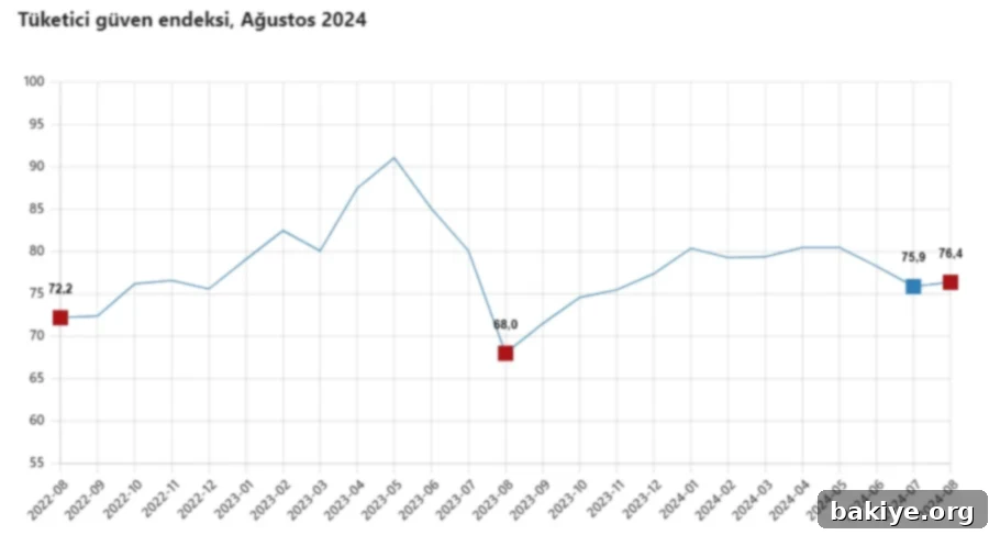 Ağustos 2024 Tüketici Güven Endeksi Detaylı Analiz