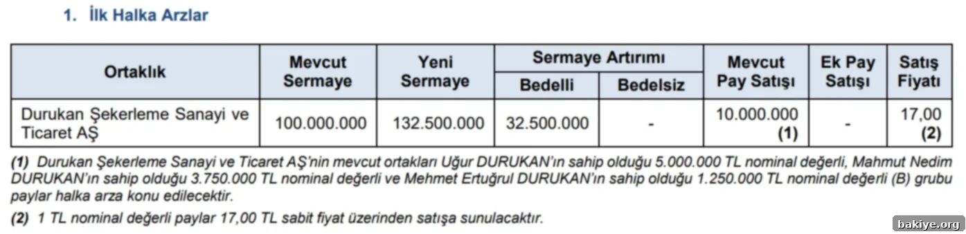 SPK Yeni Bir Halka Arza Onay Verdi 2 2024 44