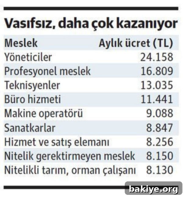 Eğitim Ücret Zincirini Kırıyor 2 Meslek Gruplarına Göre Ortalama Aylık Ücretler 2022