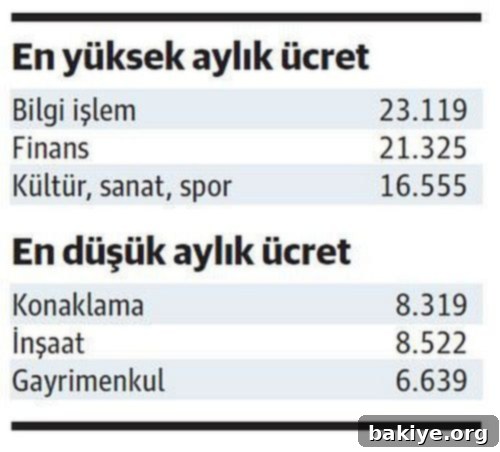 Eğitim Ücret Zincirini Kırıyor 3 Ekonomik Faaliyetlere Göre Ortalama Aylık Maaşlar 2022
