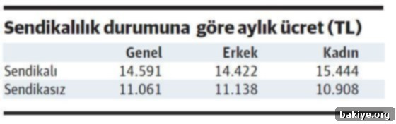 Eğitim Ücret Zincirini Kırıyor 4 Sendikalı ve Sendikasız Çalışanların Ortalama Aylık Ücretleri 2022