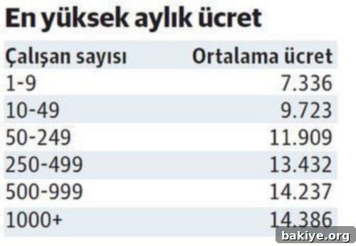 Eğitim Ücret Zincirini Kırıyor 6 İşletme Büyüklüğüne Göre Ortalama Aylık Ücretler 2022