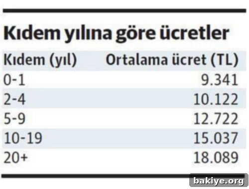 Eğitim Ücret Zincirini Kırıyor 7 Kıdem Yılına Göre Ortalama Aylık Ücretler 2022