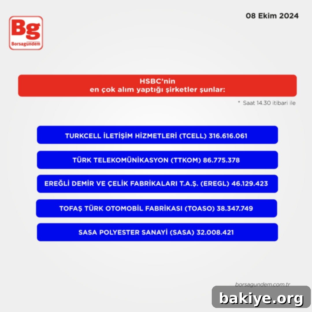 HSBC'nin En Hareketli Hisseleri (14.30 Verileriyle) 2 Banka hesap bakiyesi sorgulama ekranı örneği