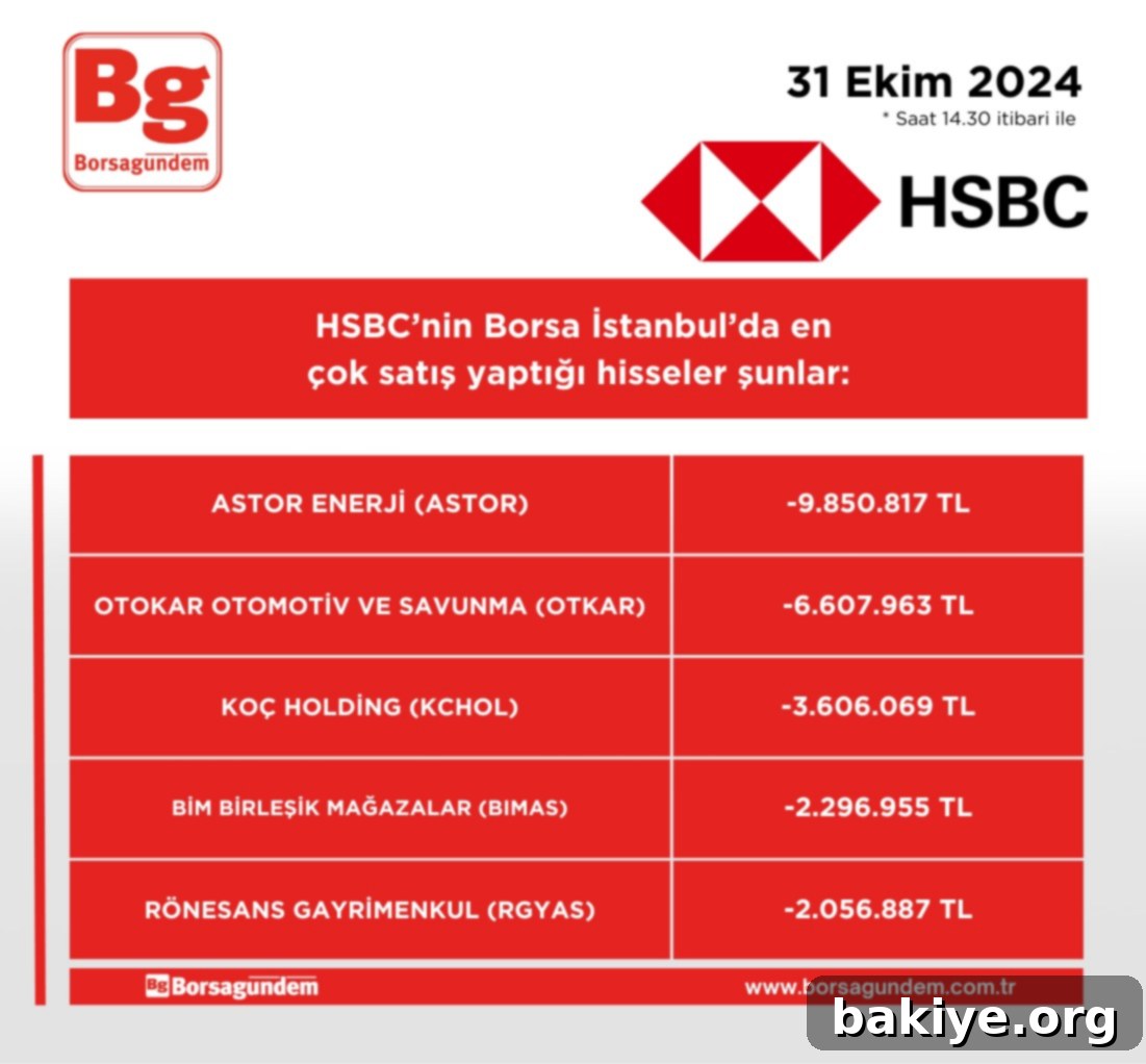 HSBC'nin 14.30'daki En Hareketli Hisseleri 3 Dijital finans platformu arayüzü ve bakiye sorgulama ekranı