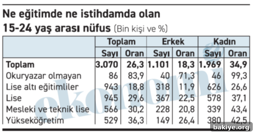 Her Dört Gençten Biri Ne Okuyor Ne Çalışıyor 2 Türkiye'de gençlerin eğitim ve istihdam durumu grafik: Cinsiyet ve eğitim düzeyine göre NEET oranları