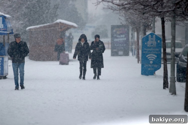Doğu Anadolu'da Kar ve Soğuk Etkisini Sürdürüyor 3 Tunceli Ovacık'ta karla kaplı sokaklar ve parklar, araçlarının üzerindeki karları temizleyen vatandaşlar