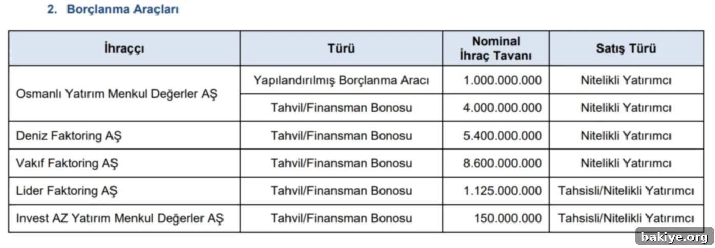 SPK'dan 2024-56 Bülteni ile 5 Şirkete Borçlanma Aracı İhracı Onayı