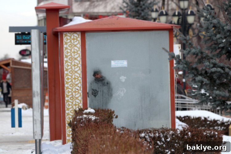 Tunceli'de kırağı kaplı ağaçlar ve buz tutan dereler