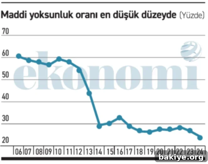 TÜİK Maddi Yoksunluk Oranları Tablo 1