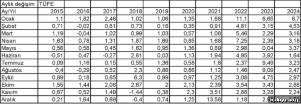 Yıllık Enflasyon %44,38: Cüzdanlar Zorda 2 Aralık 2024 TÜFE ve Yİ-ÜFE Oranları
