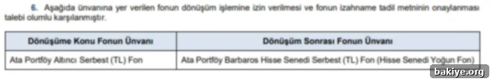 SPK'dan Onay Yağmuru 3 SPK Bülteni 2025-06 Onaylanan Başvurular Listesi 2